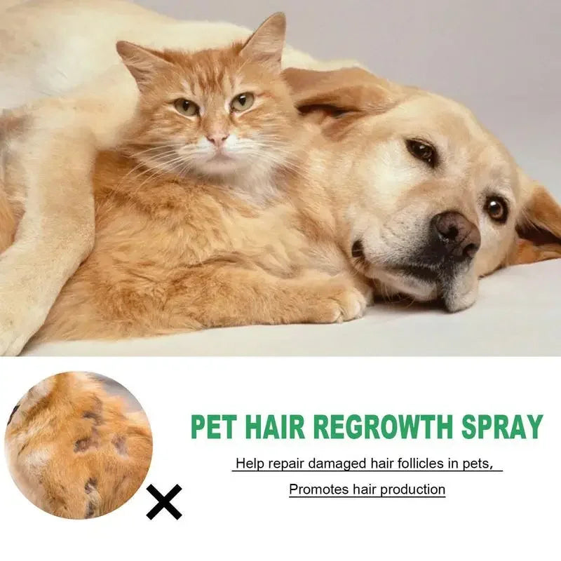 30ml Cat Detangler Spray for Matted Hair Pet Hair Regrowth Spray Cats Comforting