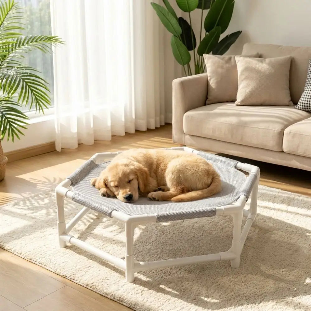 Lightweight Folding Cat Elevated Bed Portable Removable Cat Hammock