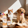 60ml Vitamins B Complex For Dogs Cats Immune Support Pet Body Care