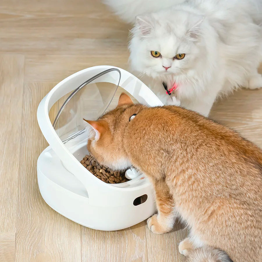 New Petoneer NutriCare Feeder Tailored For Multi-Pet Households Pet feeder