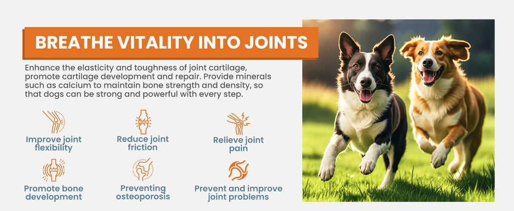 24-in-1 Dog Multivitamins Chew 200 Count Dog Vitamins Supplements