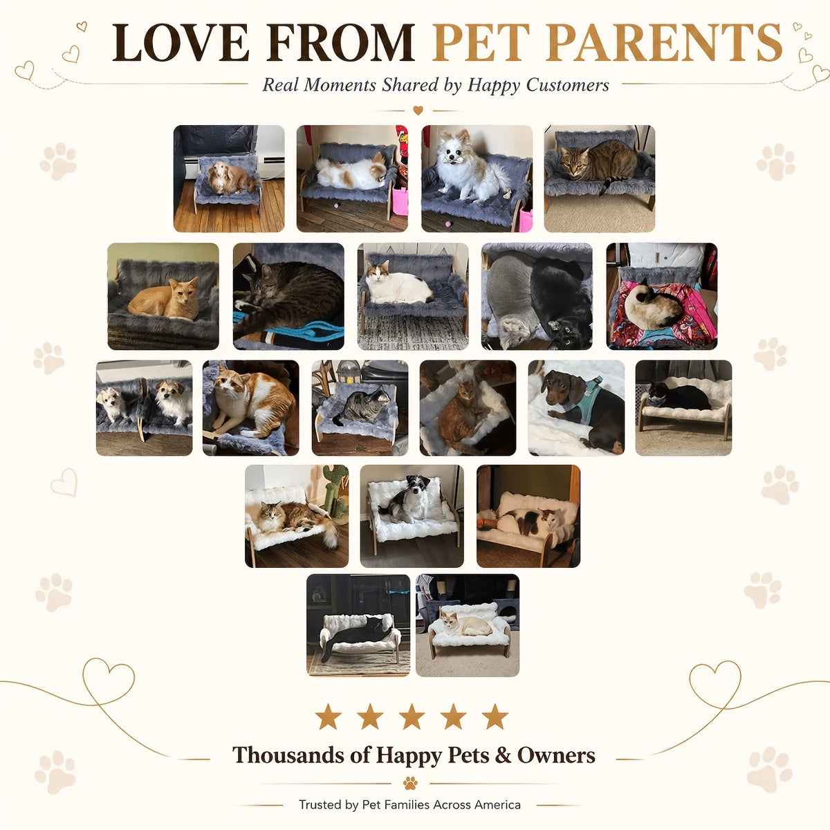 Elevated pet sofa bed, solid wood pet lounge chair, suitable for both cats and dogs.