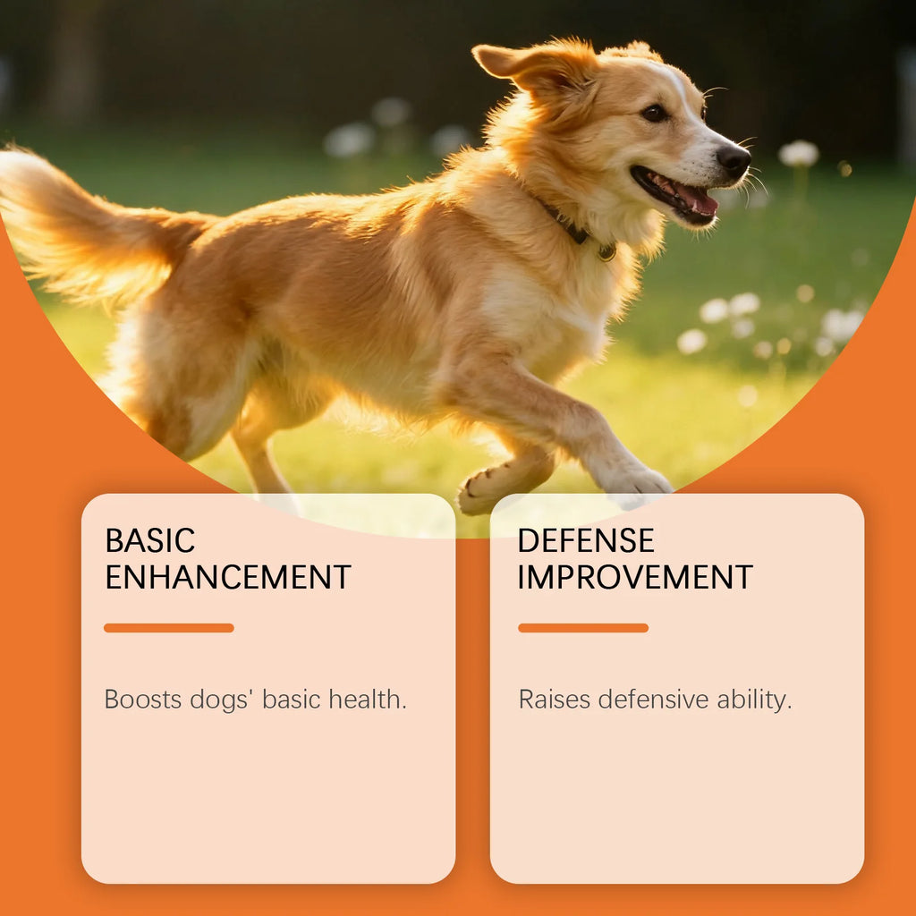 Kriath Dog Supplement Drops Promote Nutrient Absorption Improve Immune