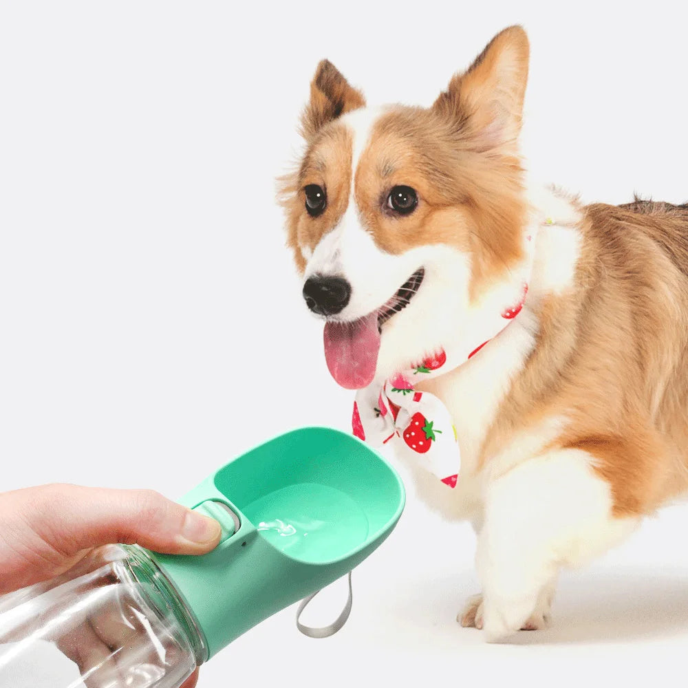 Pet Portable Big Dog Water Bottle for Small Large Dogs Outdoor Hiking