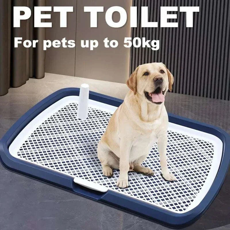 dog potty training