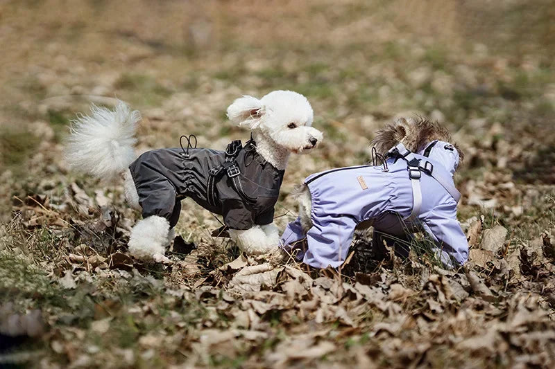 Dog Raincoat with Harness Waterproof Pet Rain Jacket for Small Dogs
