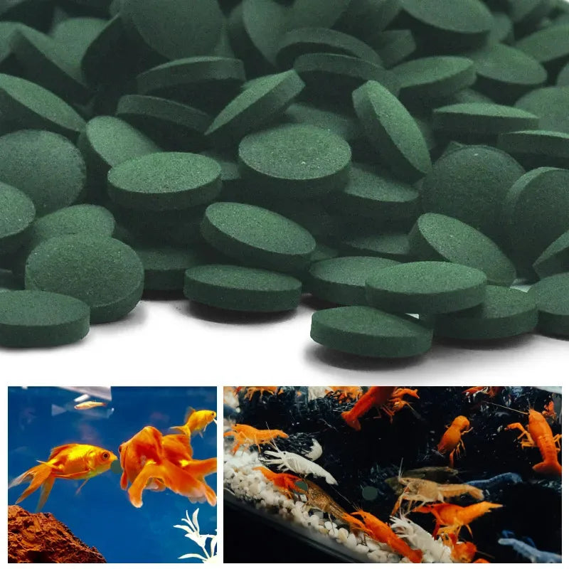 50/100/200/300Pcs High Purity Spirulina Tablets Spiral Seaweed Pet Food Fish Food Red Shrimp Fish Food