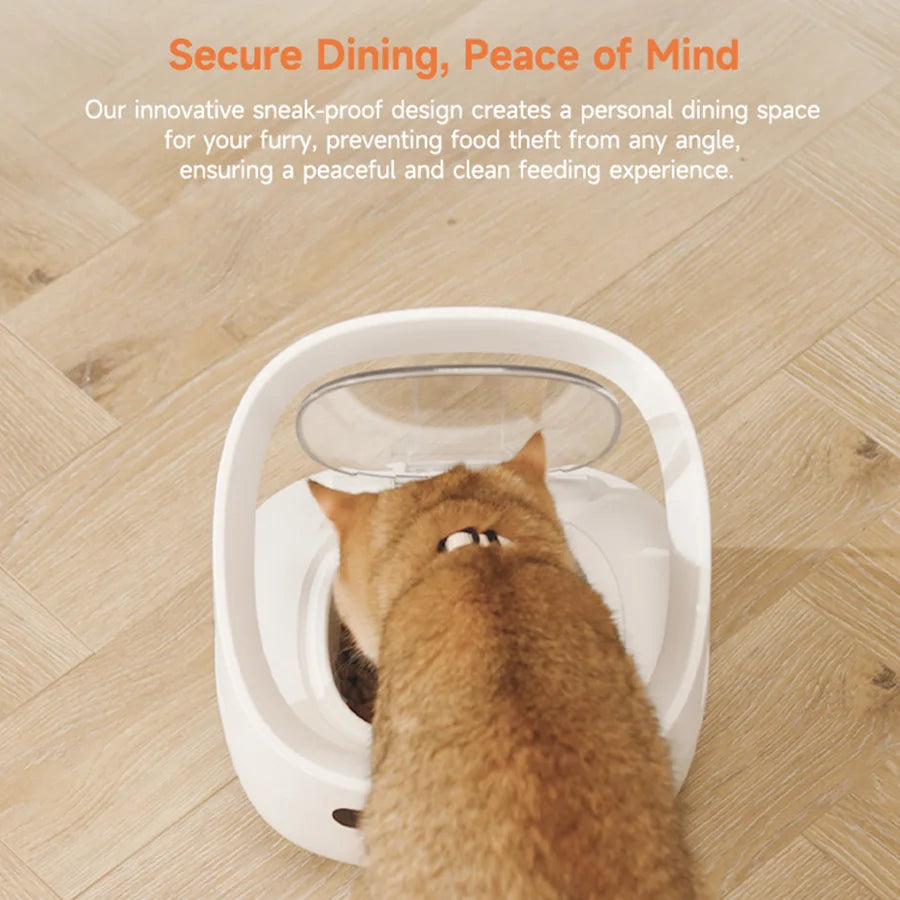 New Petoneer NutriCare Feeder Tailored For Multi-Pet Households Pet feeder