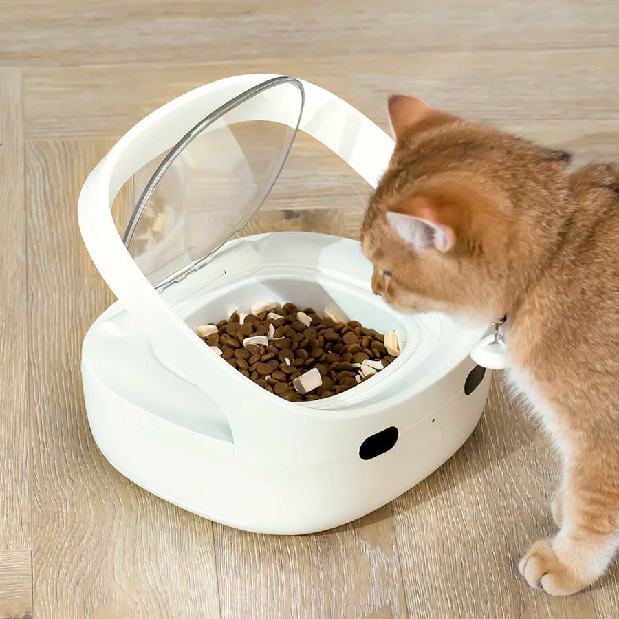 New Petoneer NutriCare Feeder Tailored For Multi-Pet Households Pet feeder