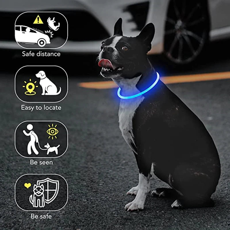 Luminous Dog Collar Light Charge Cat Necklace, Led Fashion Flashing DIY