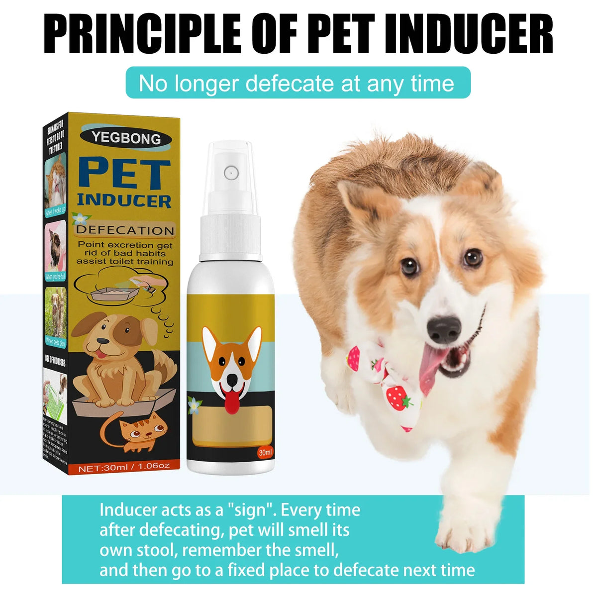 Dog Potty Training Spray Cats Kitten Outdoor Urine Poops