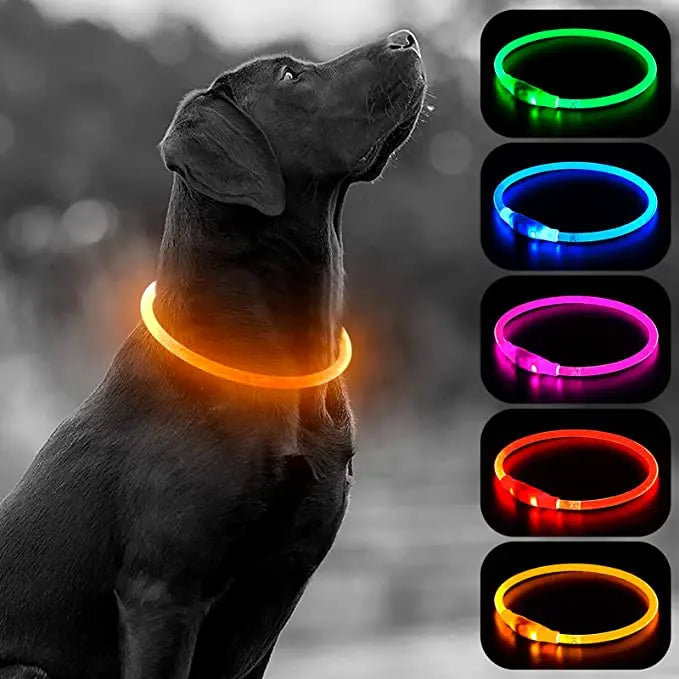 Luminous Dog Collar Light Charge Cat Necklace, Led Fashion Flashing DIY