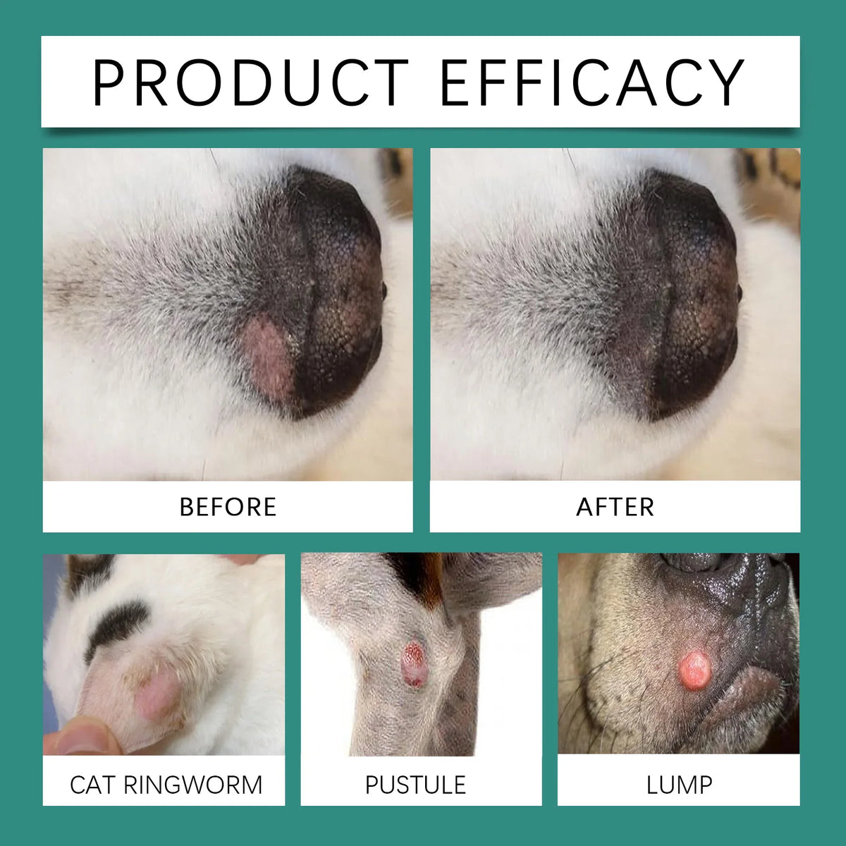 Pet Skin Soothing Spray Anti Itching Hypoallergenic Repair Relieve Scratching