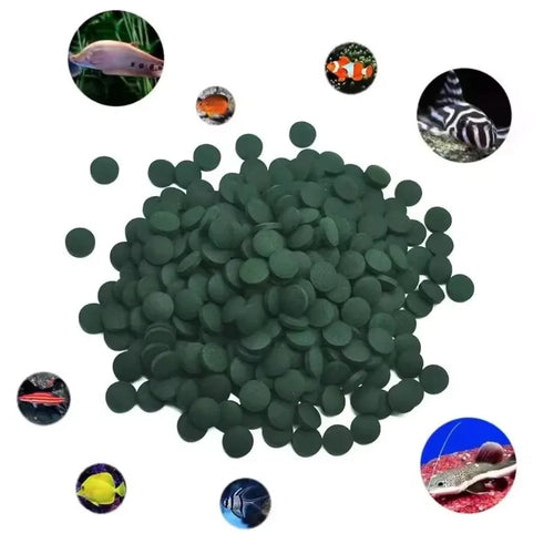 50/100/200/300Pcs High Purity Spirulina Tablets Spiral Seaweed Pet Food Fish Food Red Shrimp Fish Food