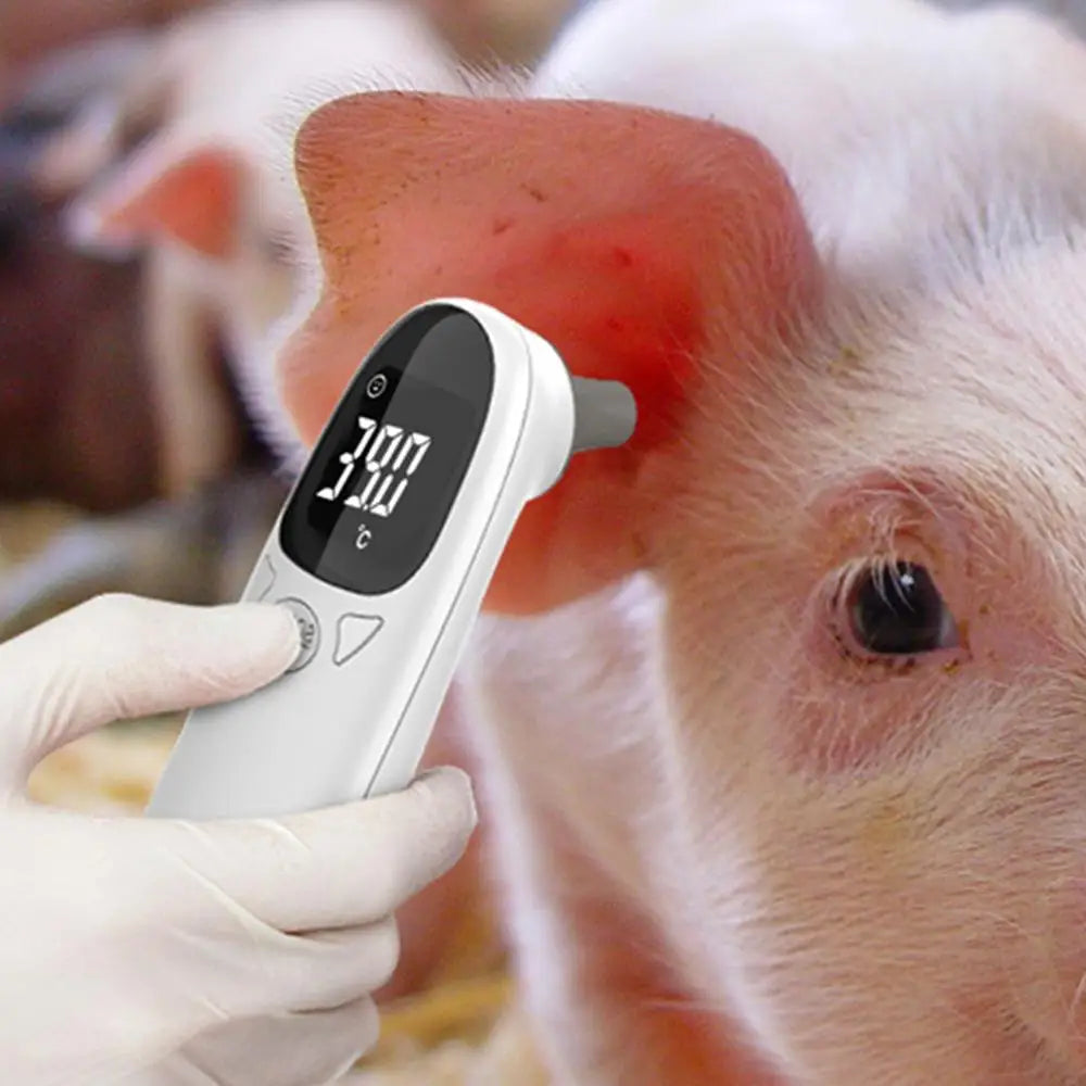 Dog Ear Thermometers Pet Supplies For Dog Accurate Fever Detection Device For Pet Pet Supplies