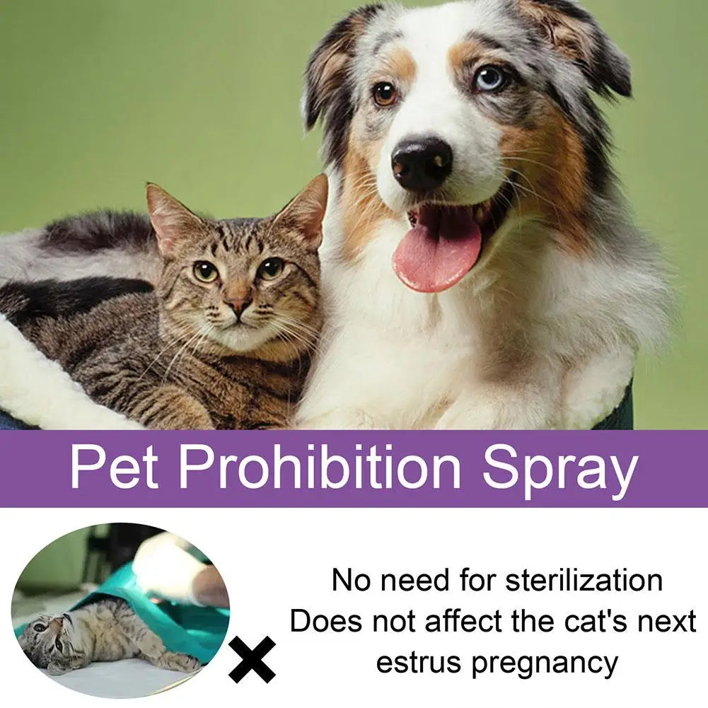 Pet Calming Spray Pet Supplies Pets Pheromone Calming Spray Improve Estrus Agitation