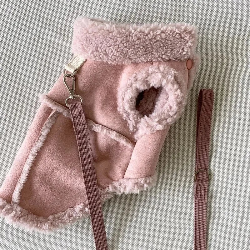 Dog Supplies Accessories Pets Acessorios Chihuahua Apparel Clothes