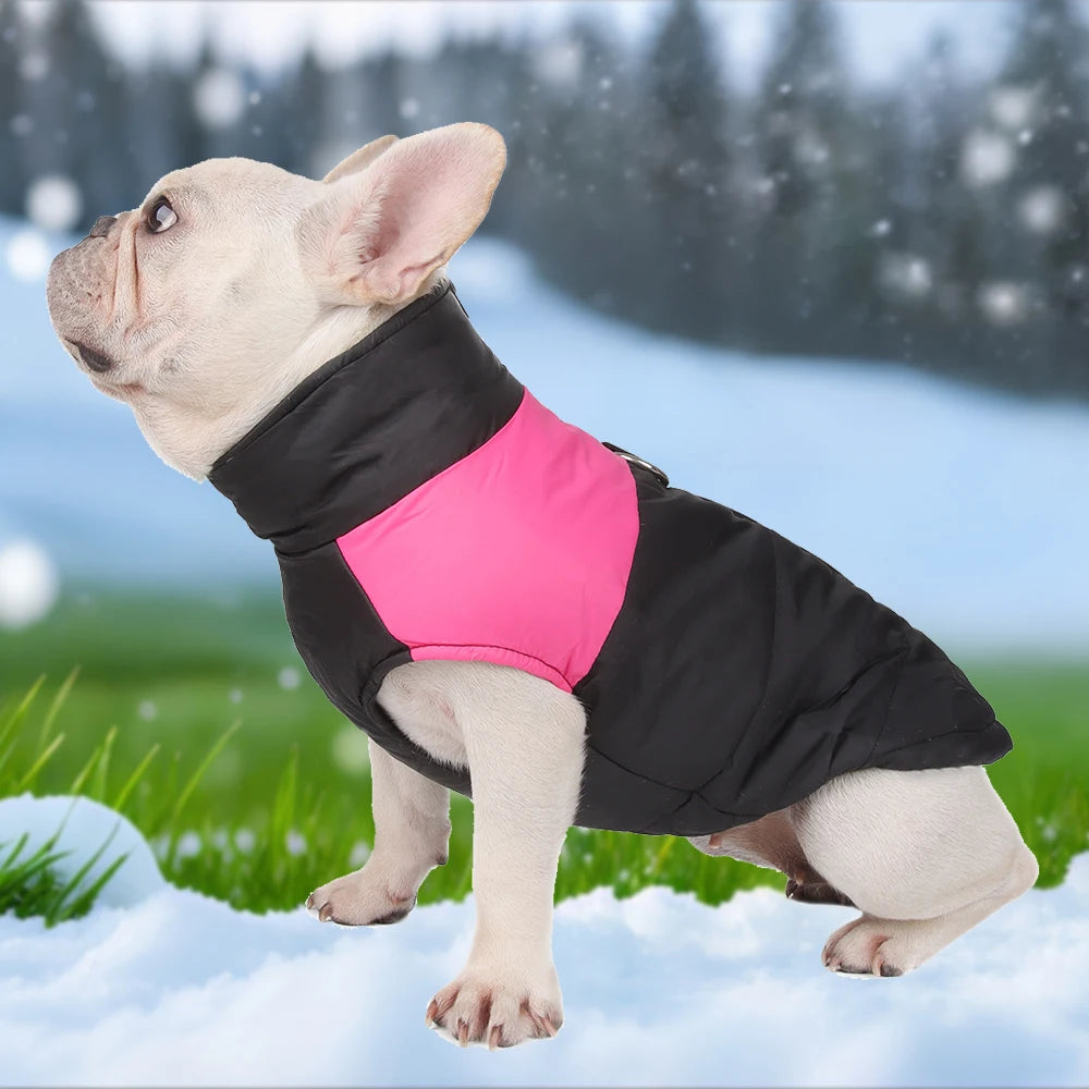 Pet Dog Jacket Warm Winter Clothes For Small Large Dogs Labrador