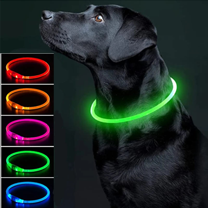 Luminous Dog Collar Light Charge Cat Necklace, Led Fashion Flashing DIY