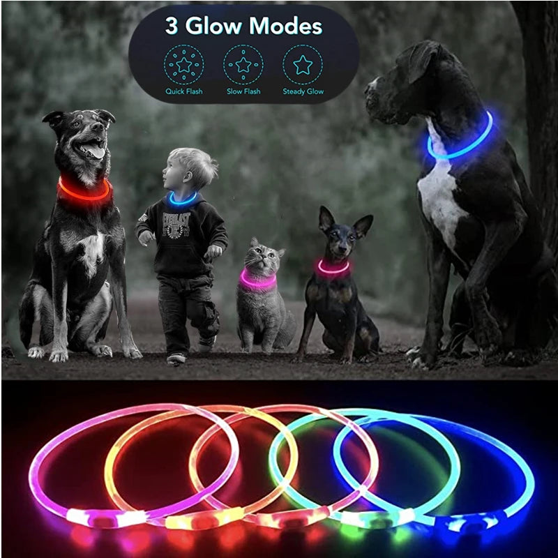 Luminous Dog Collar Light Charge Cat Necklace, Led Fashion Flashing DIY