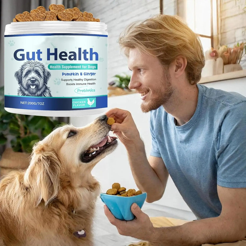 200g Formula Gut Health Supplement for Dogs Formulated Probiotic Chews