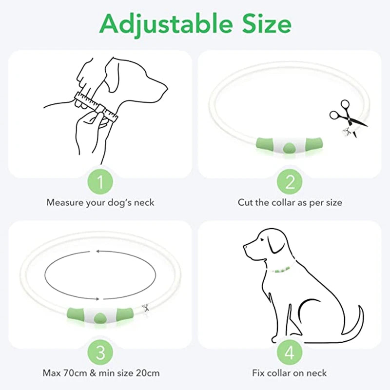 Luminous Dog Collar Light Charge Cat Necklace, Led Fashion Flashing DIY