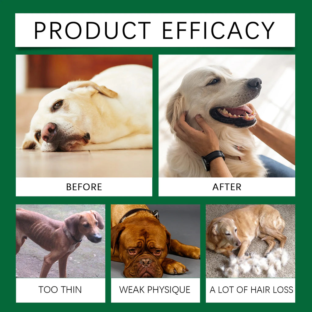 60ml Immune-Boosting Multivitamin Supplement for Dogs, Gentle Formula to Relieve Skin Discomfort