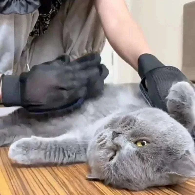 Pet Grooming Supplies
