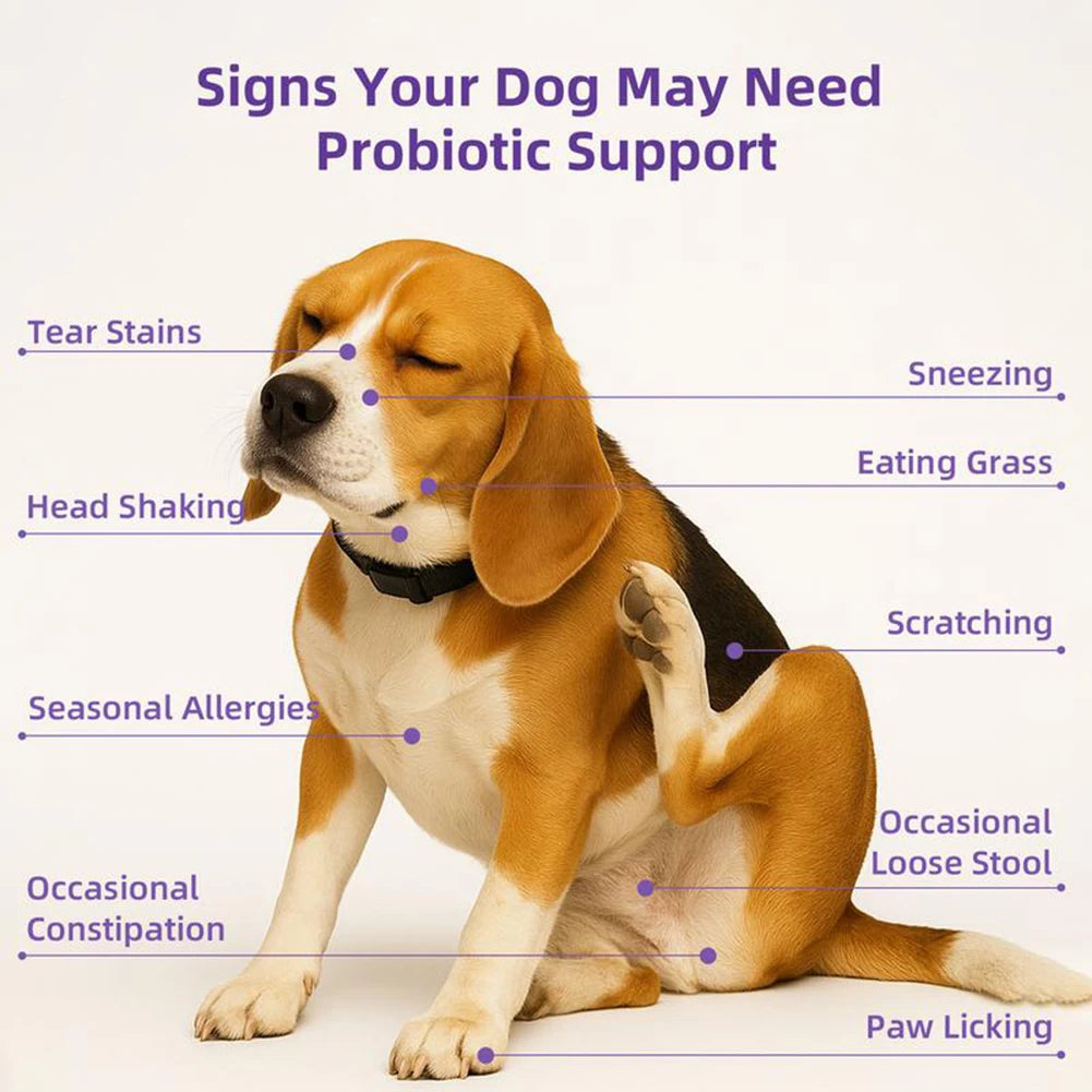 Probiotics Supplements for Dogs 90 Count Digestive Enzymes