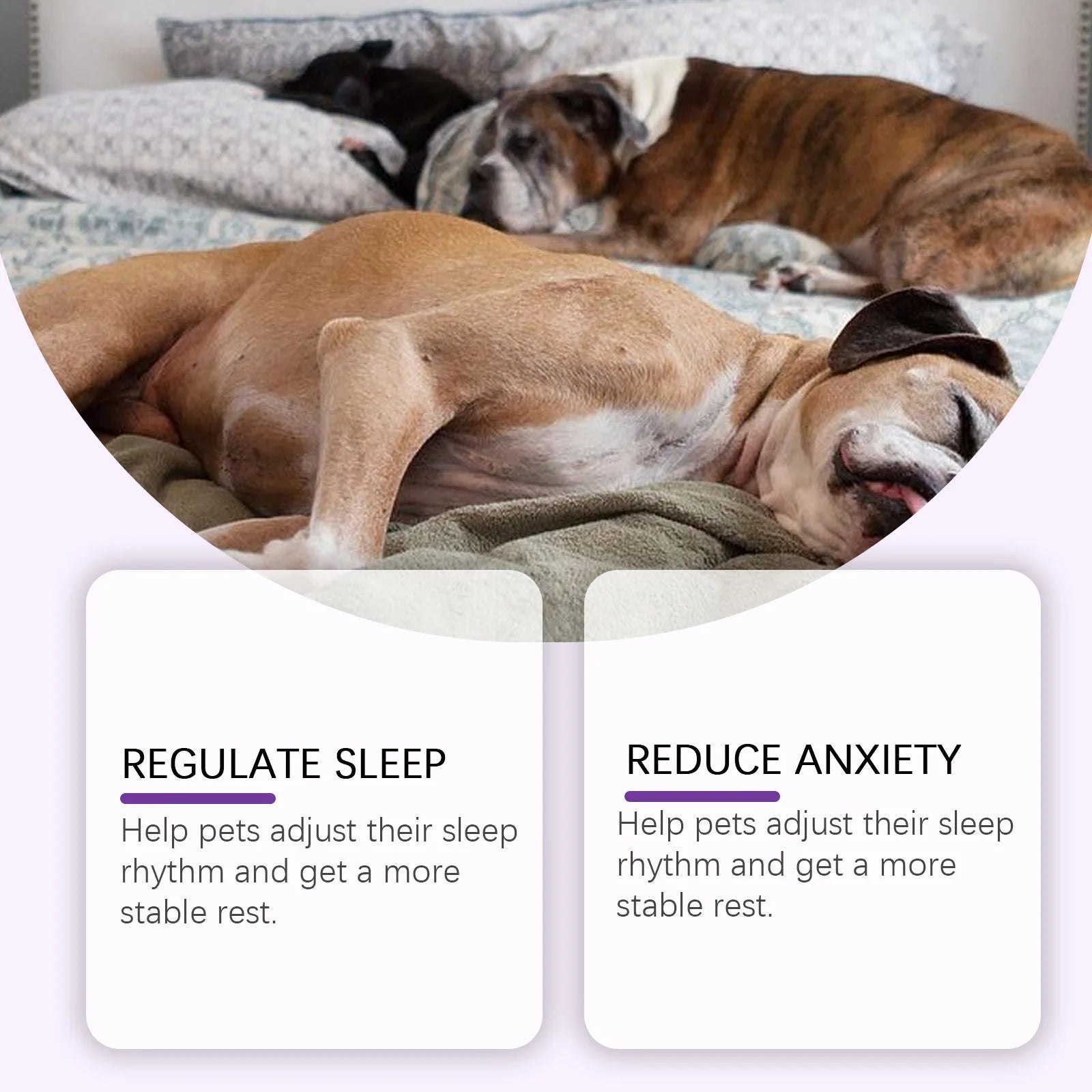 YEGBONG Dog Sleep Support Drops Reduce Anxiety Night Sedation