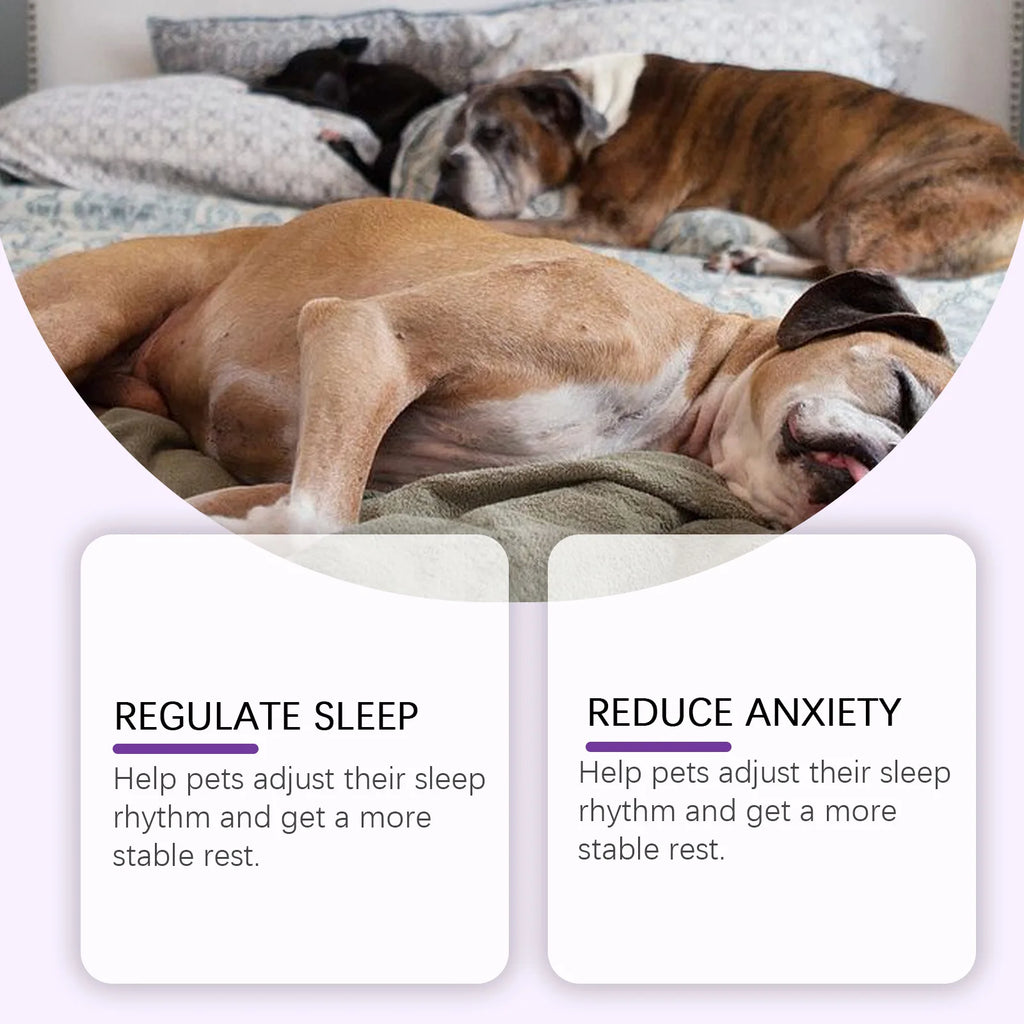 YEGBONG Dog Sleep Support Drops Reduce Anxiety Night Sedation
