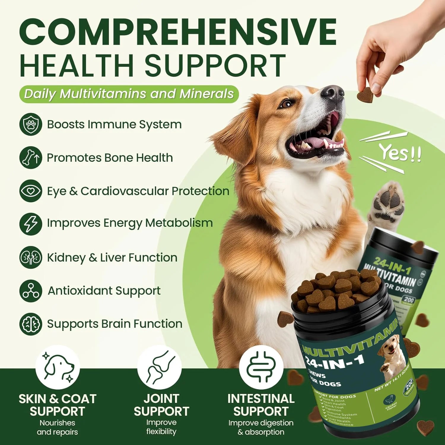 24-in-1 Dog Multivitamins Chew 200 Count Dog Vitamins Supplements