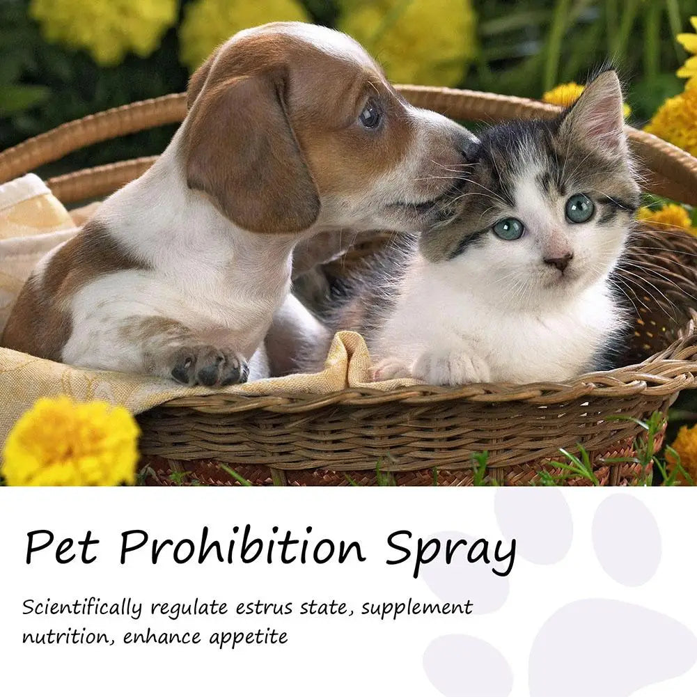 Pet Calming Spray Pet Supplies Pets Pheromone Calming Spray Improve Estrus Agitation