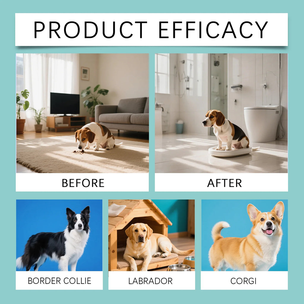 Pet Potty Training Spray Dog Attractant Puppy Behavior Training Potty Training Aid