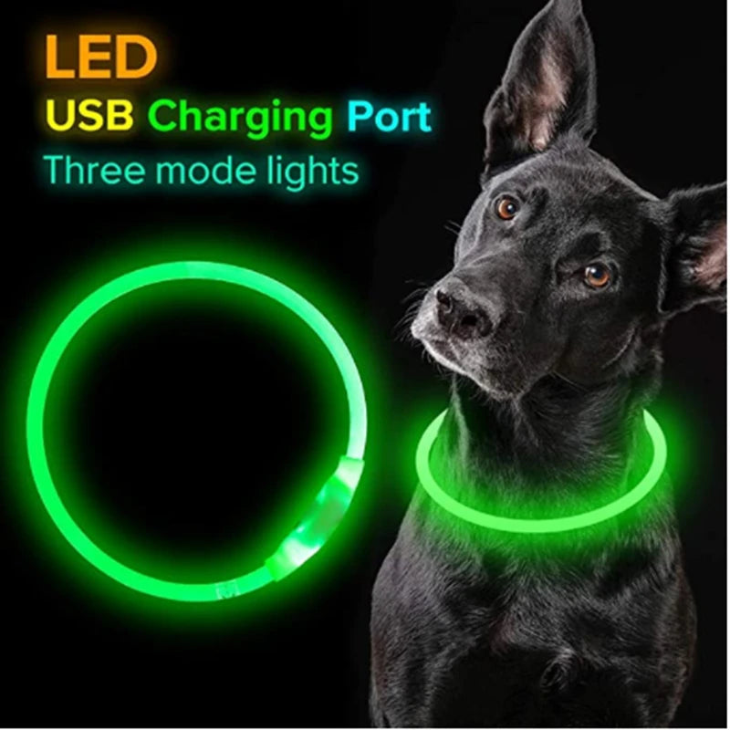 Luminous Dog Collar Light Charge Cat Necklace, Led Fashion Flashing DIY