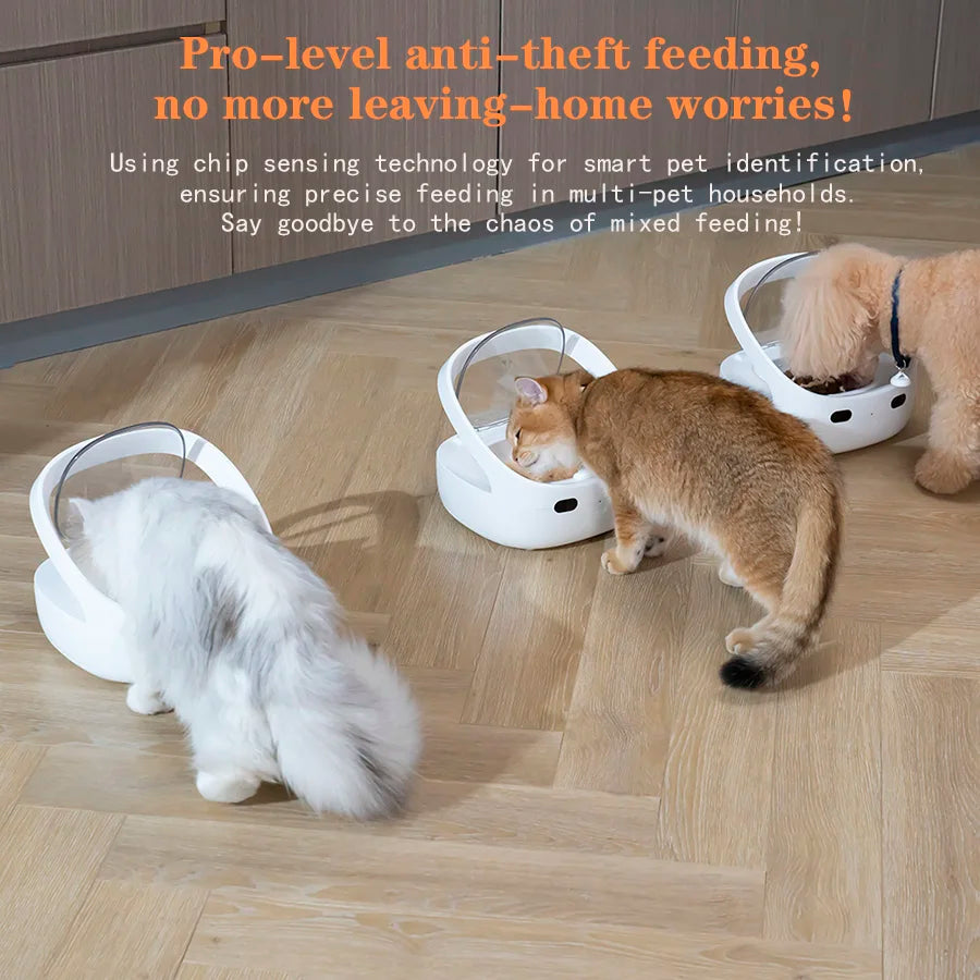 New Petoneer NutriCare Feeder Tailored For Multi-Pet Households Pet feeder