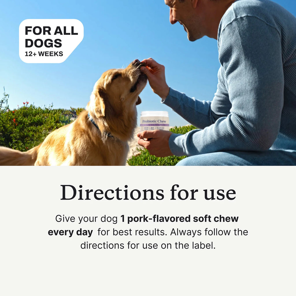 Dog Probiotics Chews - Dog Probiotics for Gut Health