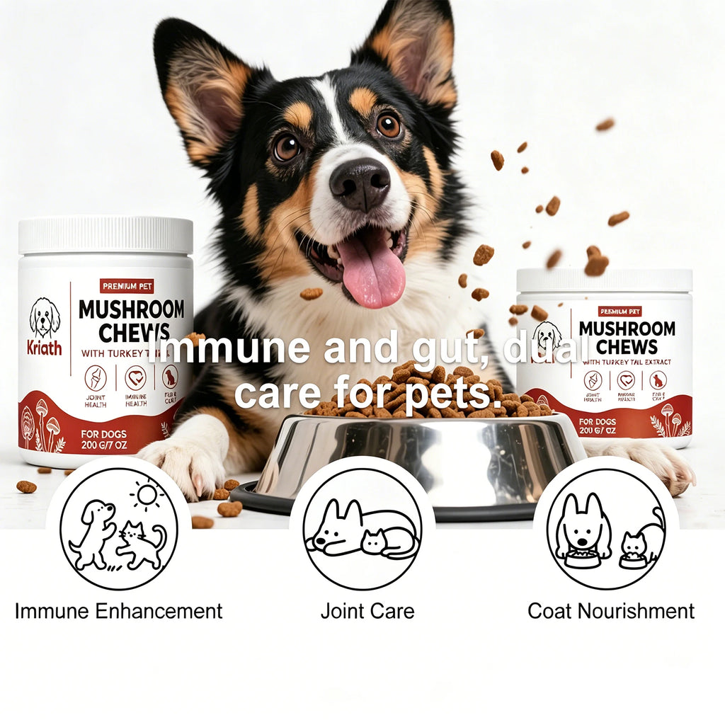 Kriath Beef Flavor Dog Nutrition Chews Improve Pet Vitality Balance Intestinal Flora Skin Coat Wellness