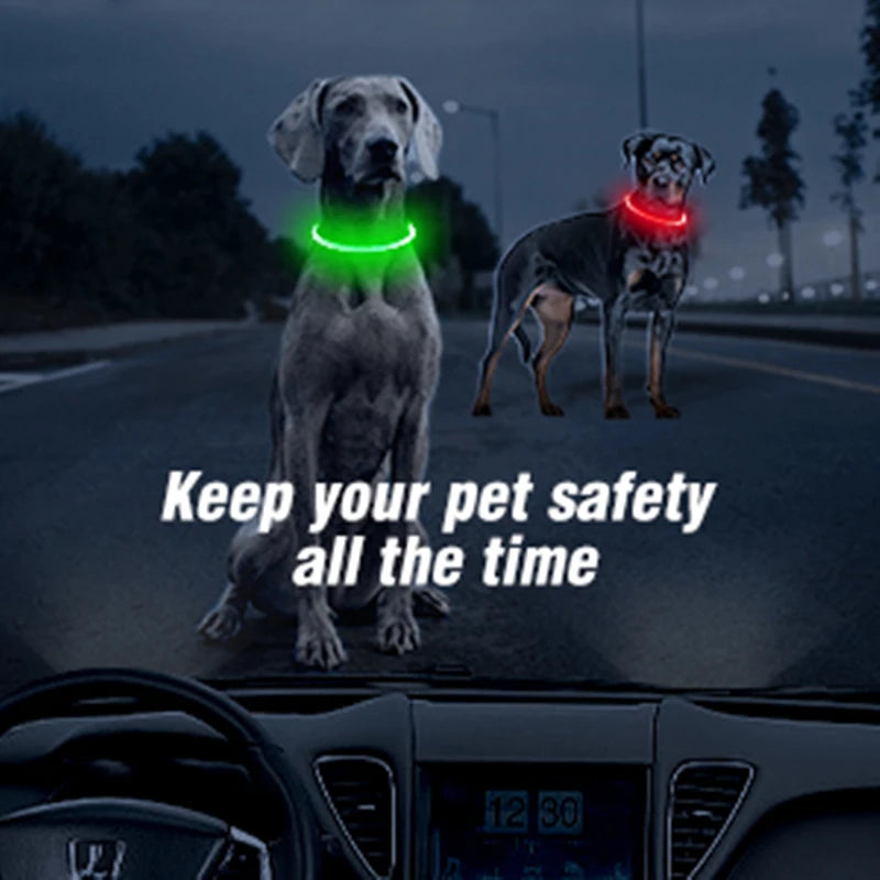 Luminous Dog Collar Light Charge Cat Necklace, Led Fashion Flashing DIY
