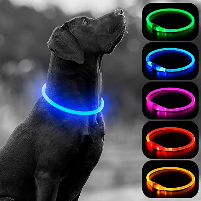 Luminous Dog Collar Light Charge Cat Necklace, Led Fashion Flashing DIY