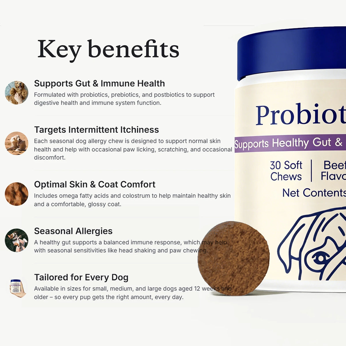 Dog Probiotics Chews - Dog Probiotics for Gut Health