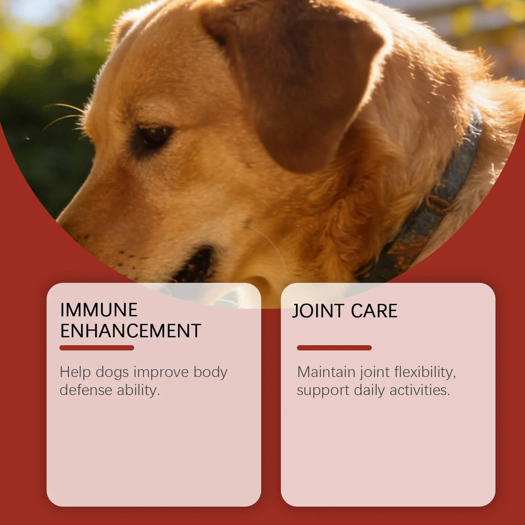 Kriath Beef Flavor Dog Nutrition Chews Improve Pet Vitality Balance Intestinal Flora Skin Coat Wellness