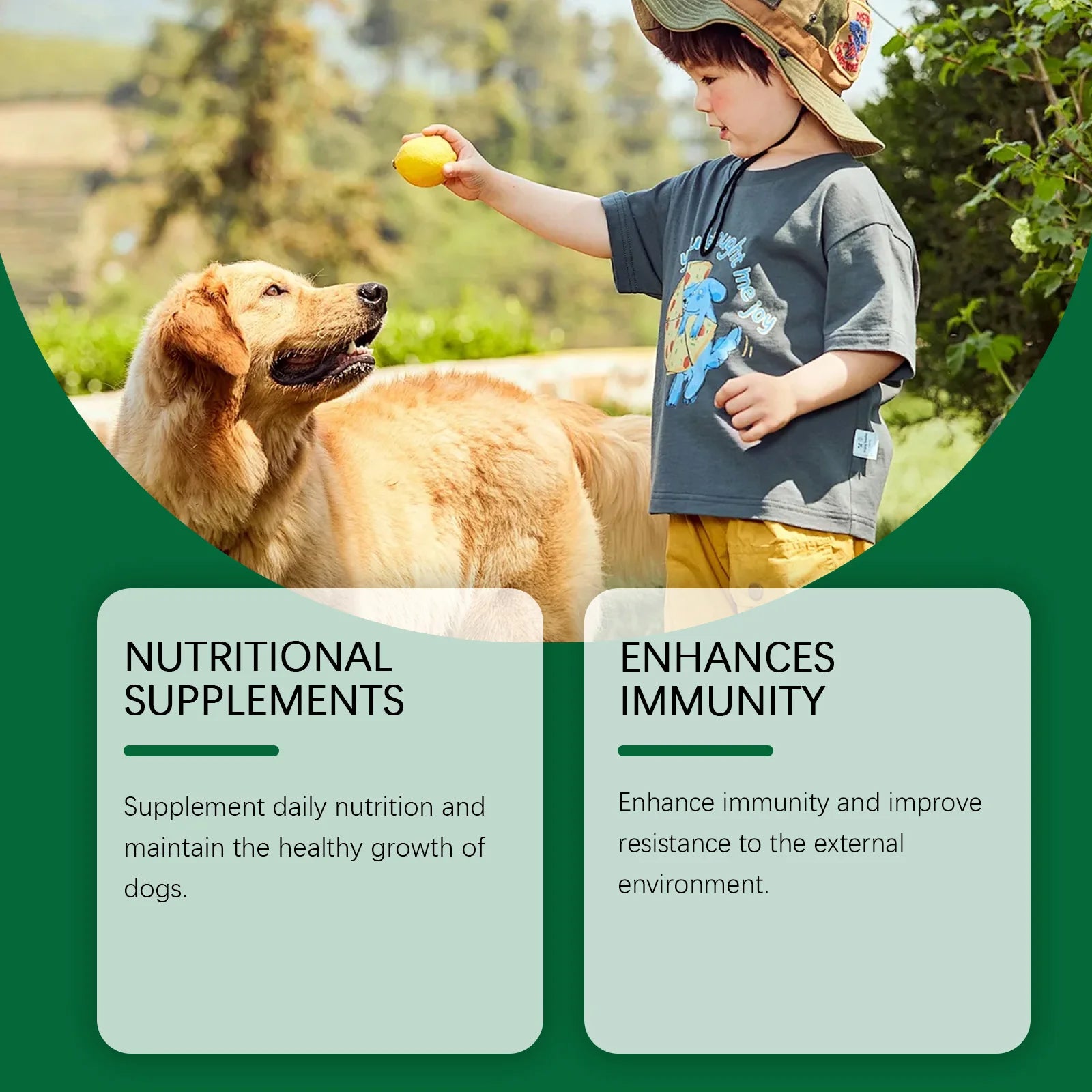 60ml Immune-Boosting Multivitamin Supplement for Dogs, Gentle Formula to Relieve Skin Discomfort