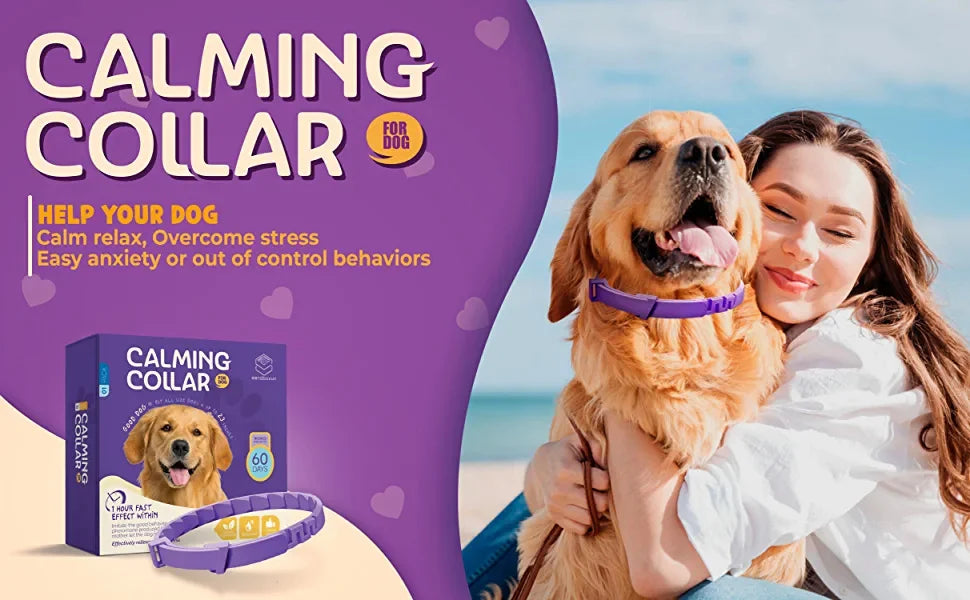 Pet Calm Collar Neck Strap Plastics Cat Dog Soothe Collar Adjustable