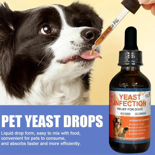 3pcs(Buy 2 Get 1 Free)Pet Yeast Probiotic Drops - Gut Health Supplement