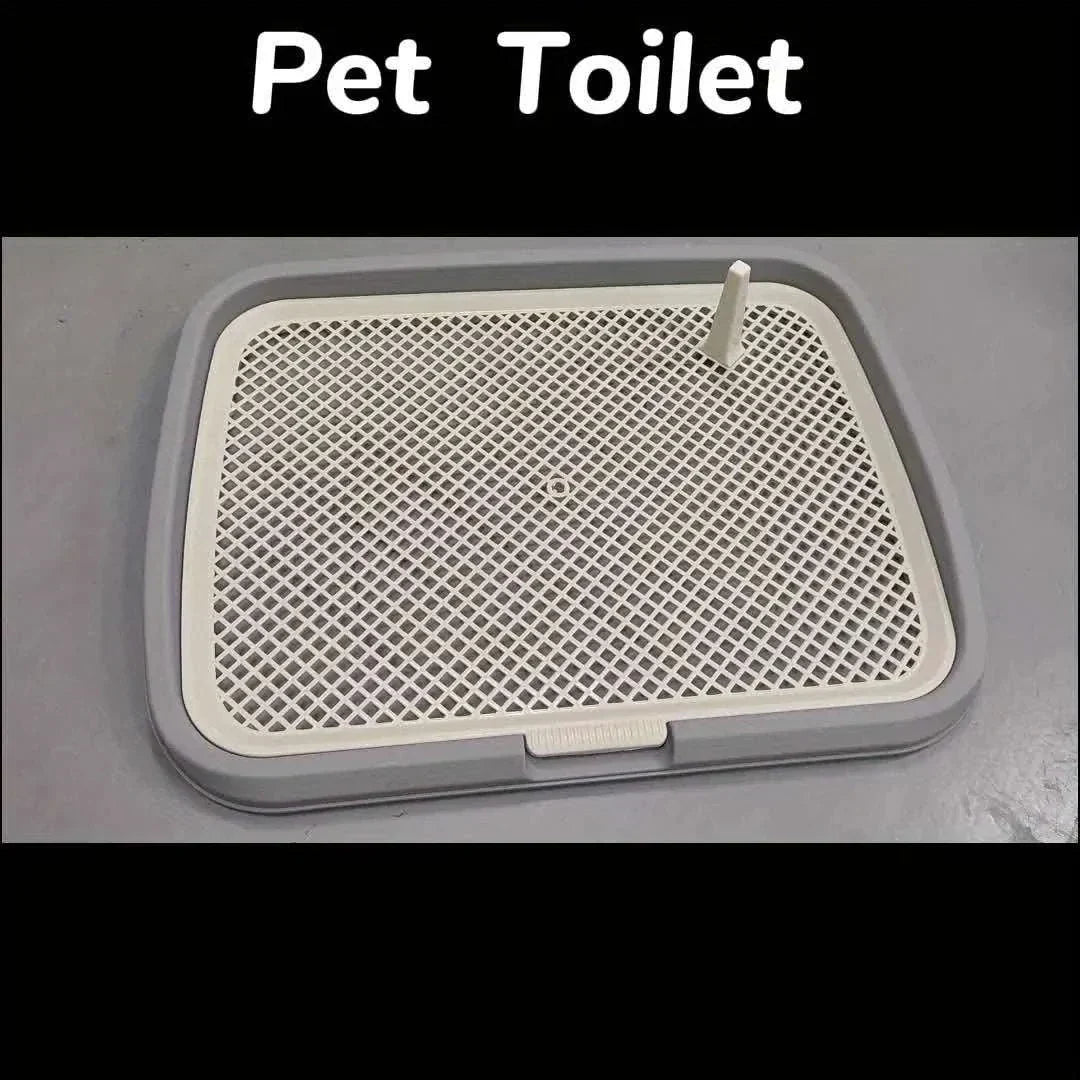 dog potty training