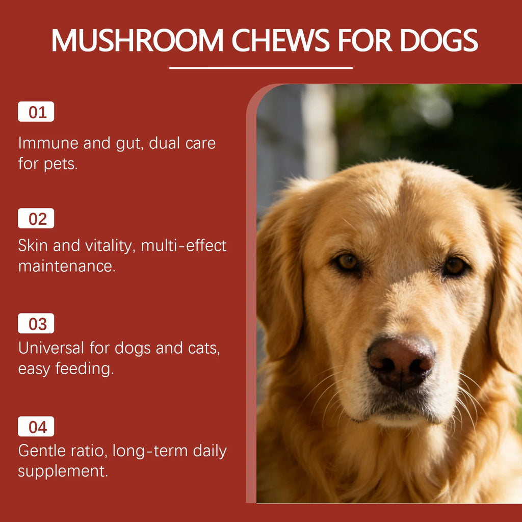 Kriath Beef Flavor Dog Nutrition Chews Improve Pet Vitality Balance Intestinal Flora Skin Coat Wellness