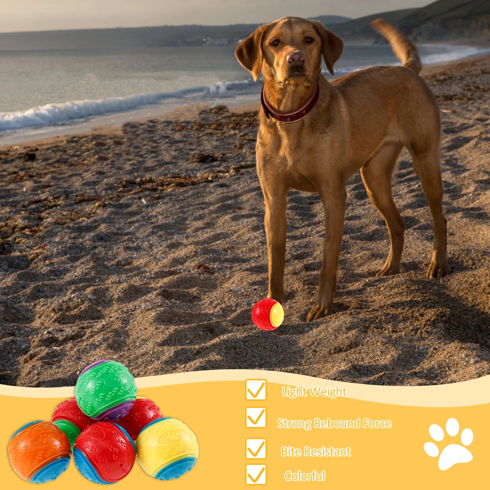 6Pcs Squeaky Balls Toys Dogs Interactive Toys TPR Dog Chew Toy for Dog