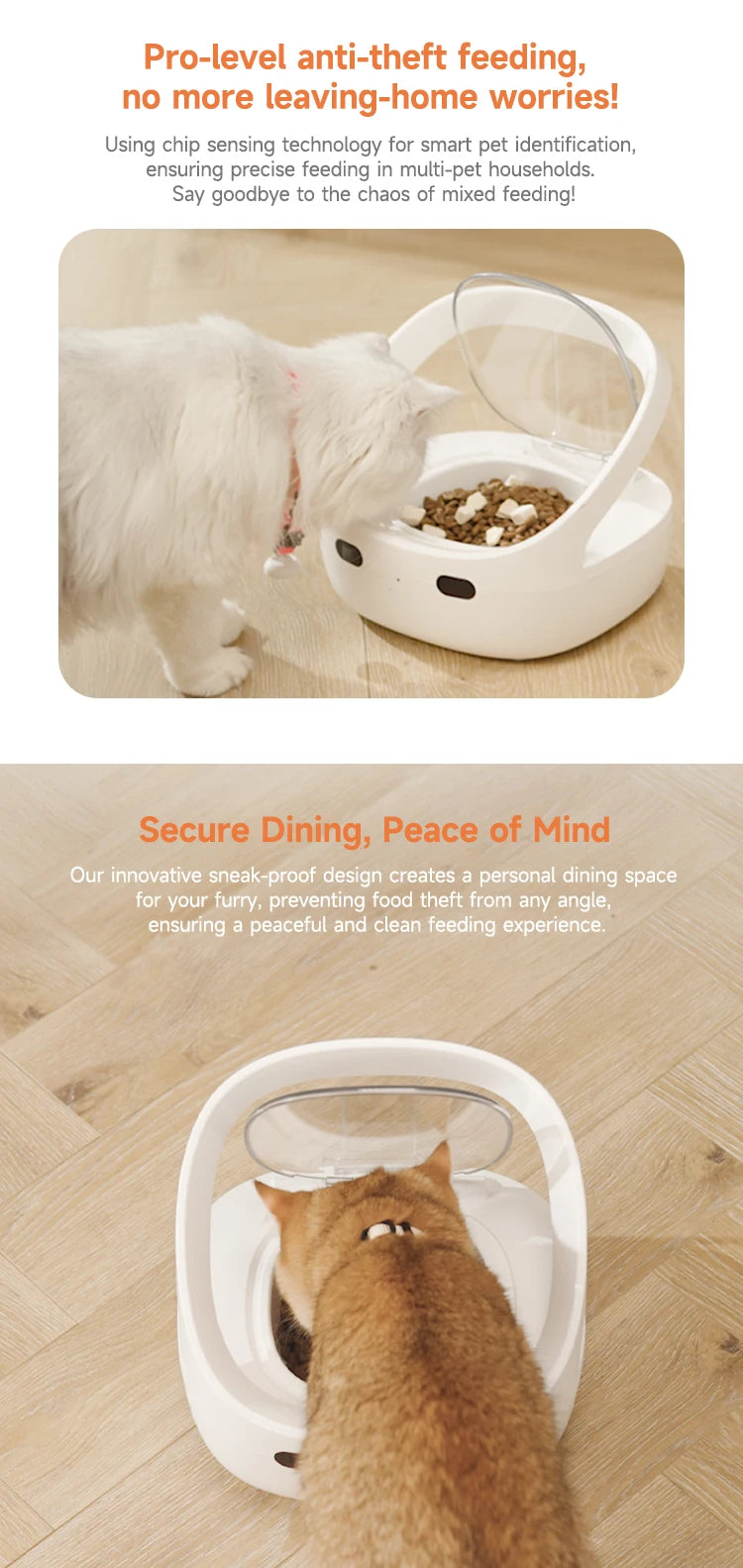 New Petoneer NutriCare Feeder Tailored For Multi-Pet Households Pet feeder