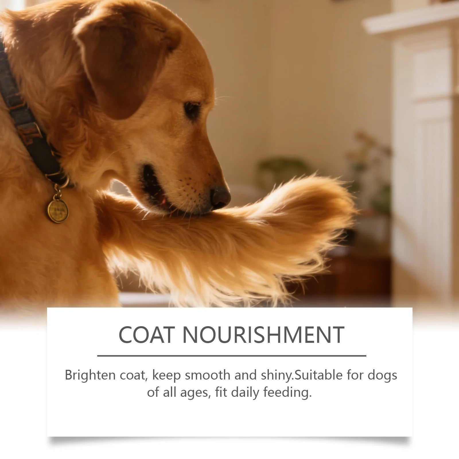 Kriath Beef Flavor Dog Nutrition Chews Improve Pet Vitality Balance Intestinal Flora Skin Coat Wellness